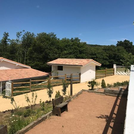 Domaine Du Mont Monnet - Chambre D'Hotes & Gite Longes Exterior foto